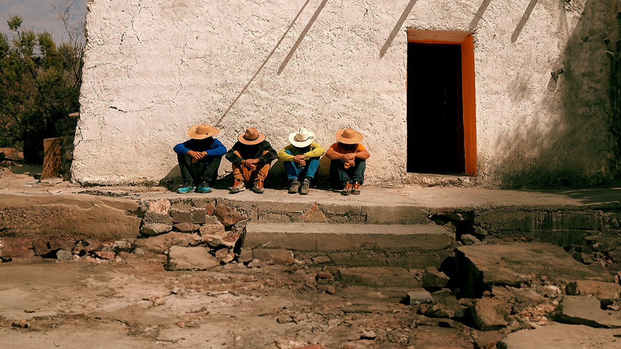 El Cacomixtle De La Noche | By Rock Experience