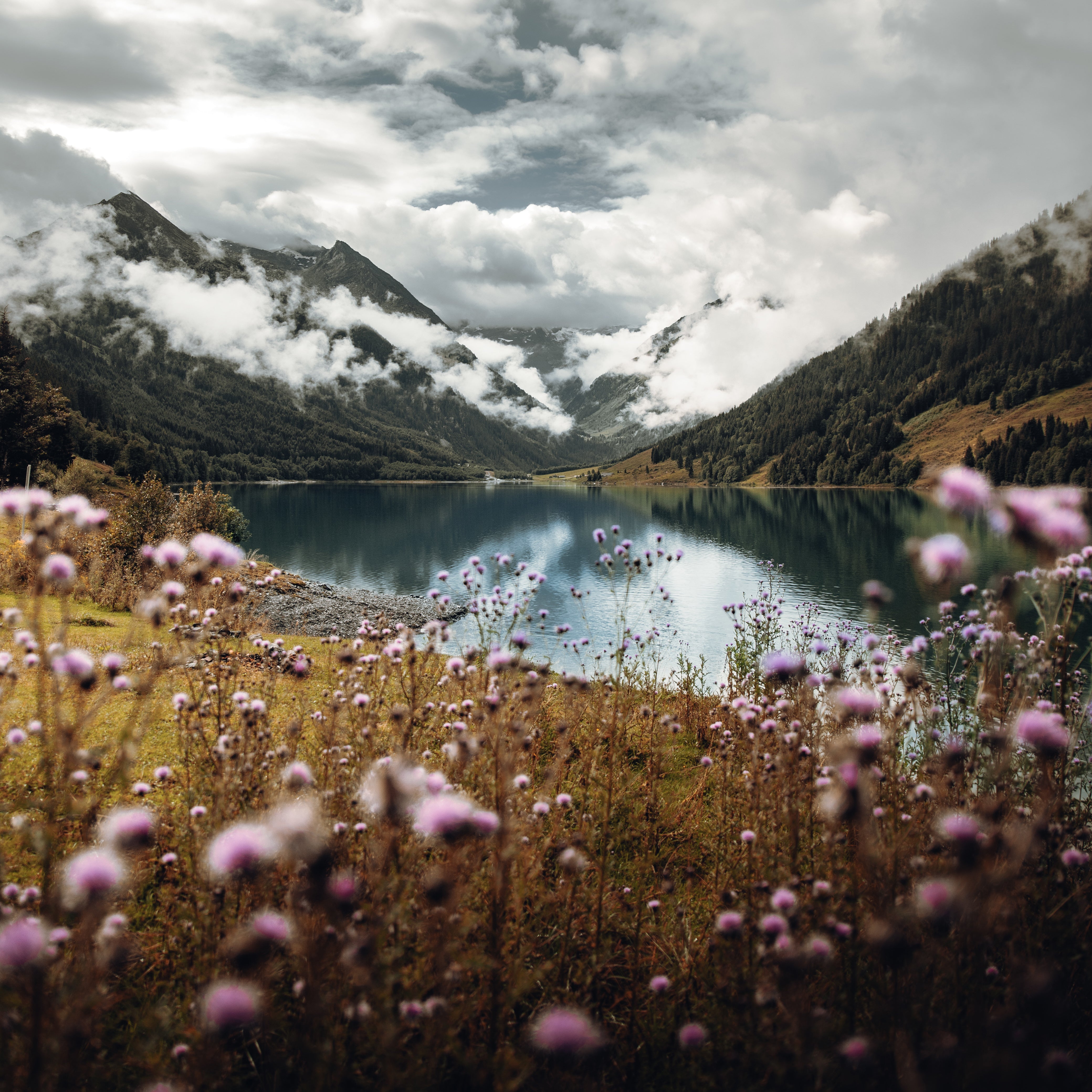 Campionario - Gilet Uomo